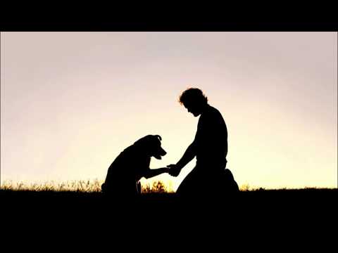 Athos Fakhe (Fáé)- Fázok 2019