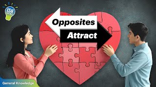 Do opposites really attract? New research says not much