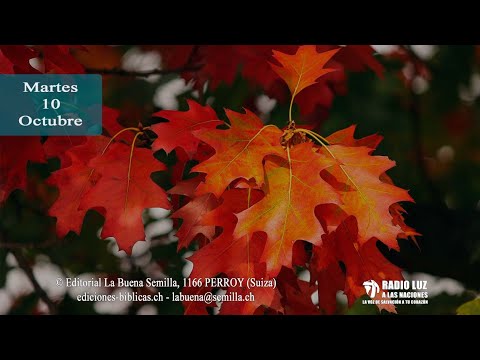 La Buena Semilla - 10 Octubre 2023 (No tenemos miedo)