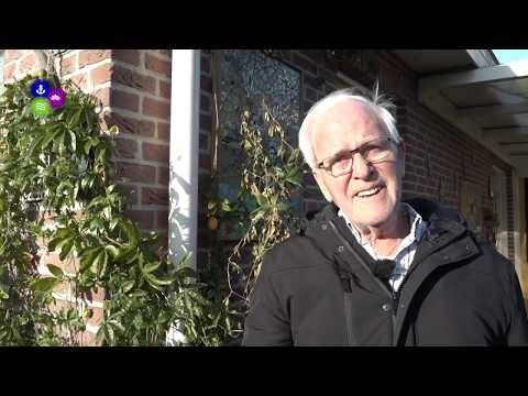 Tegel door raam in Warmenhuizen