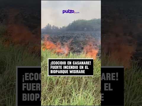 Ecocidio en Casanare, fuerte incendio en el bioparque Wisirare