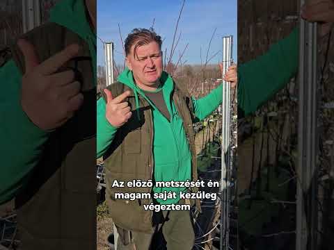 Konténeres gyümölcsfák előnyei videó