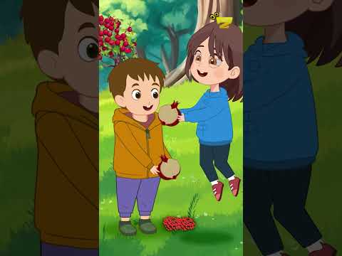 Zarok TV  - Hinar 🎵🎙️ #kirmanckî #kurmancî #zaroktv