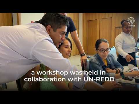 Deforisk: Innovating deforestation risk mapping for climate action