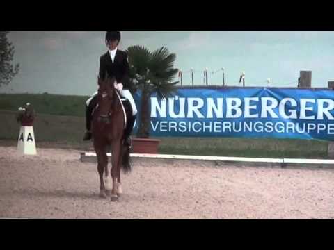 Tobi Deutsches Reitpony ( Top Mariano x Makuba )