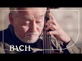 Bach - Cello Suite No. 5 in C minor BWV 1011 - Suzuki | Netherlands Bach Society