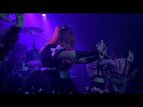 Video de la banda Metal Paws