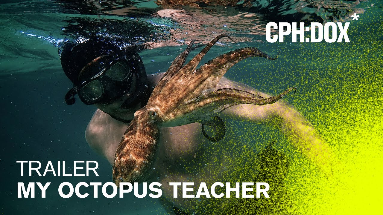 My Octopus Teacher