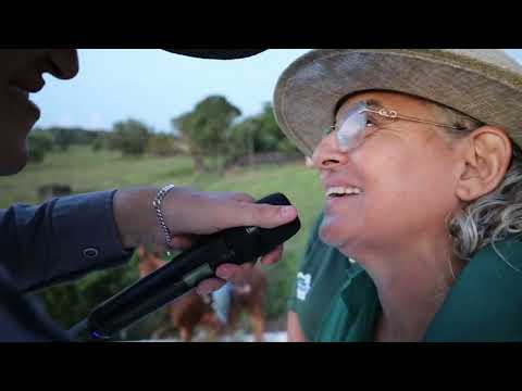 Cavalgada Ecológica de Novo Brasil-Go 2026