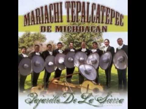 Mariachi Tepalcatepec El Son del Raton