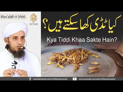 Kya Tiddi Khaa Sakte Hain? | Solve Your Problems | Ask Mufti Tariq Masood
