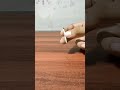 Crazy Scientist Thought Wait For End Experiment Short Viral