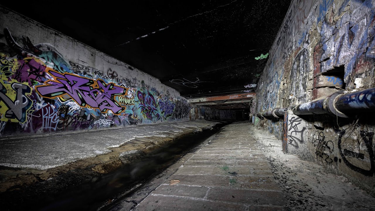 Experience a walking tour through Hobart Rivulet.