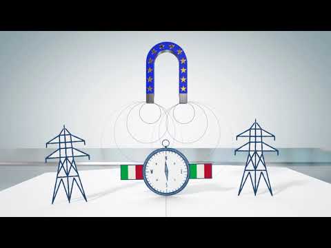 ECJ Cases: Shaping European Law | Community Health