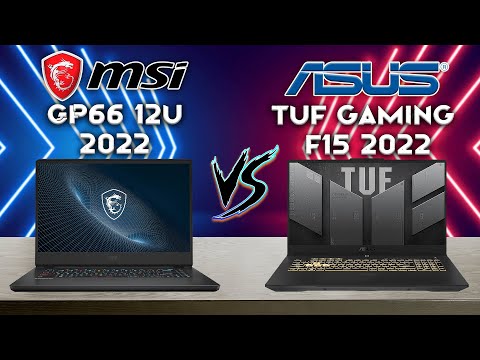 Vector Gp66 vs Tuf Gaming f15! Ultimate Full Comparison!