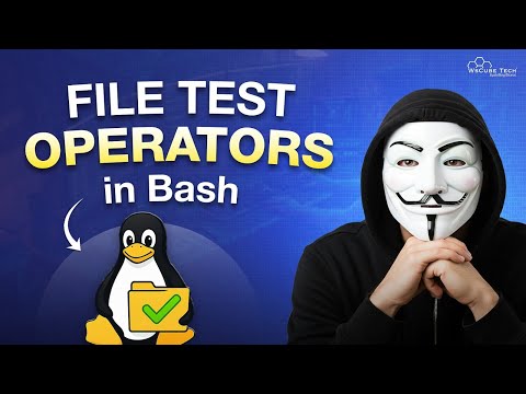 Intro to Shell Programming Easy Tutorial for Absolute Beginners