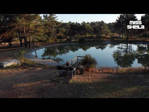 Miss Sheila presents Eco Stream