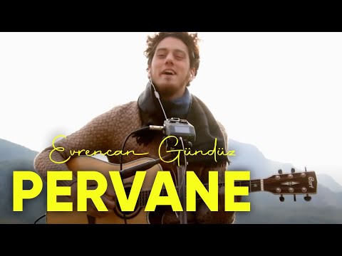 Evrencan Gündüz - Pervane