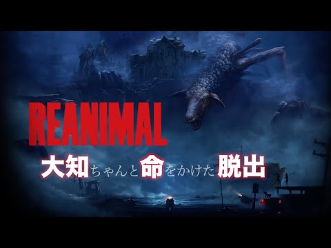 #1 大知ちゃんとREANIMAL