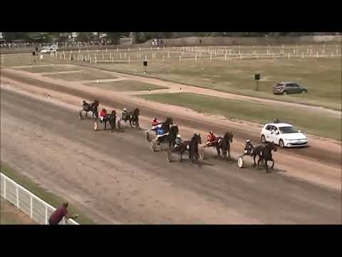 KK Bačka Subotica 22.08.2021. Ergela Kelebija- Kelebija