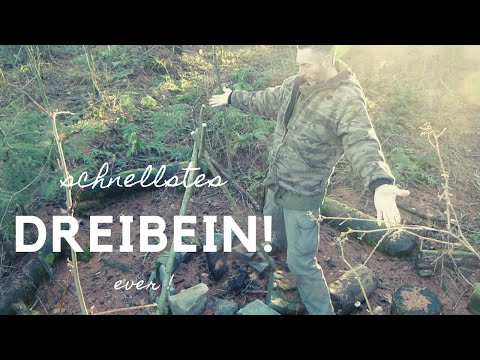 Schnellstes Dreibein, ever !