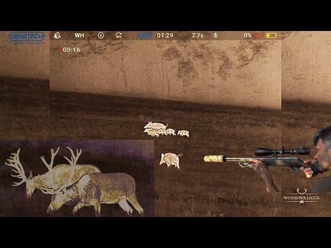 A full moon night with CONOTECH thermal imaging devices for wild boar | Hunting films | Woodwalke...