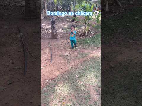 Brincadeira de criança, na chácara em Aragoiânia Goiás