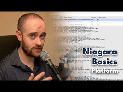 Platform | Niagara Basics