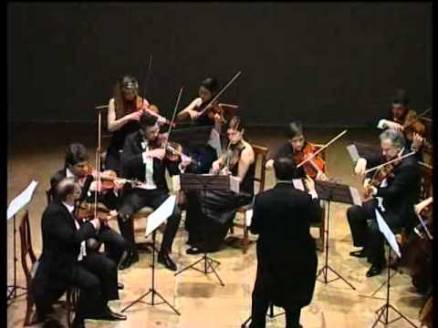 Ensemble d'Archi Fenaroli - Progetto Carnegie Hall.avi