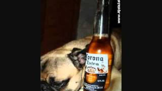 miguel y miguel junto a un perro