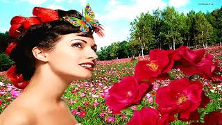 Die Flippers ***Schmetterling im Sommer Wind***