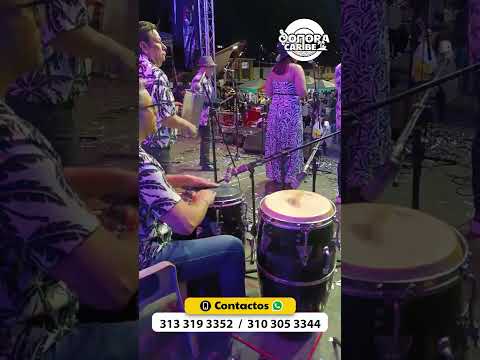 Sonora Caribe - Noches de Ilusión en vivo Paz De Rio Boyacá  #salsa #musica #baile #SonoraCaribe