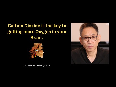 Carbon Dioxide is the key to getting more Oxygen in your Brain