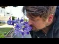 Sean Watkins - "Everything" Official Music Video