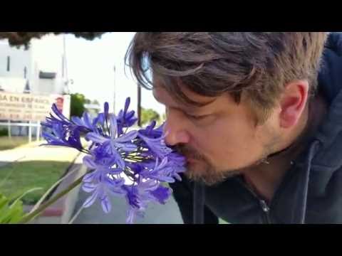 Video thumbnail for Everything