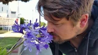 Sean Watkins - &quot;Everything&quot; Official Music Video