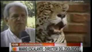 preview picture of video 'Santa Cruz 450 años de historia - El Zoológico'