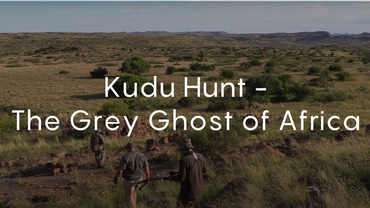 Kudu Hunt - The Grey Ghost of Africa