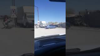 Man Notices A Stray Dog With A Bowl Of Food In Mouth And Then He Follows Her