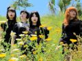 Dum Dum Girls - Yours Alone 