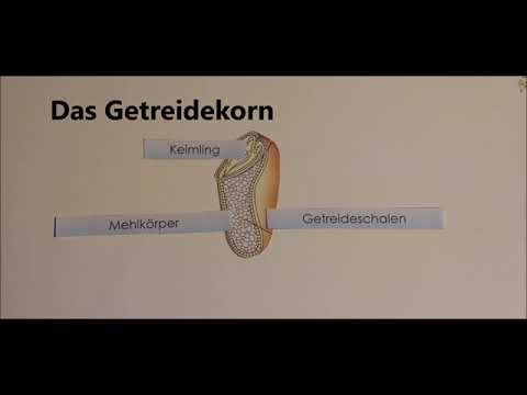 Getreide und seine Wirkung in unserem Körper