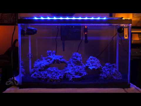 BUILDING MY SALTWATER TANK!!! (Tank details in description)