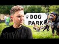 5 Major reasons why dog parks are dangerous- Dog Training Tips