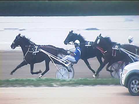 Trotto 14/10/2018 - 7ª corsa