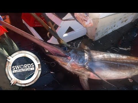 FULL EPISODE - Swords: Life On The Line | Season 3 | Episode 2