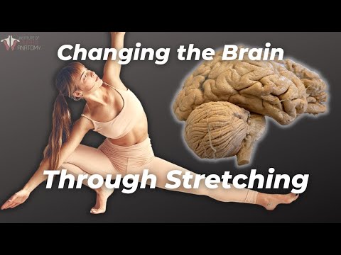 How Stretching REALLY Works