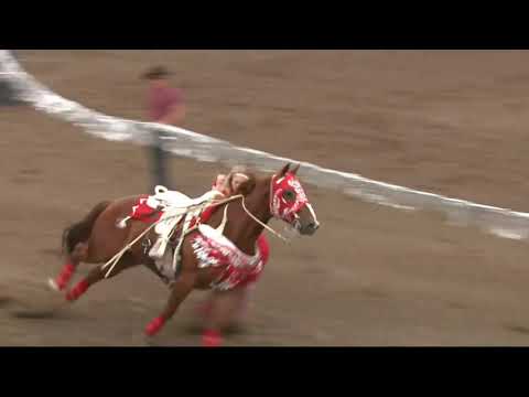 Trick Riding at the Ponoka Stampede 2018- Shelby Pierson