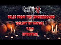 V B N Violent By Nature Interview Tales From The Underground