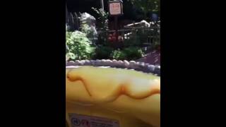 Disneyland Acid Trip