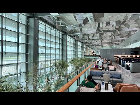 Comentário: Singapore Airlines SilverKris Lounge | Aeroporto de Singapura 🇸🇬🍾✈️